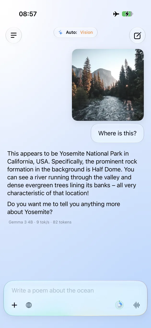 Solair AI vision mode analyzing a Yosemite photo